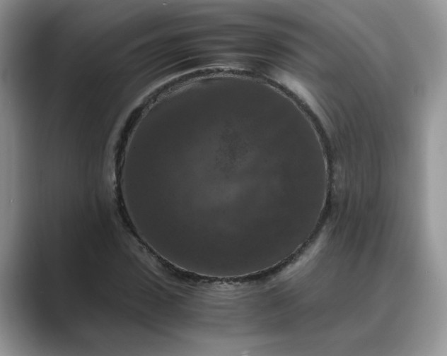 X0000089670923200707051545