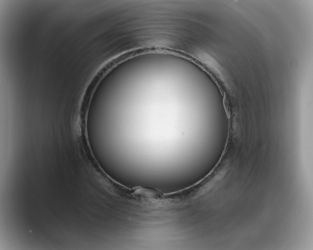 X0000089670924200707051545