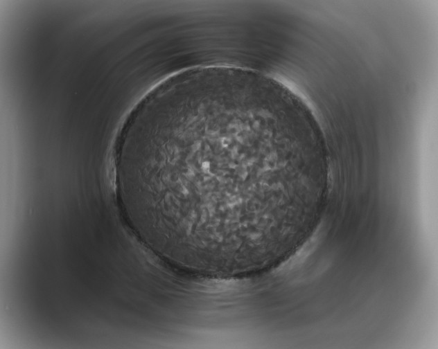 X0000089670925200707051545