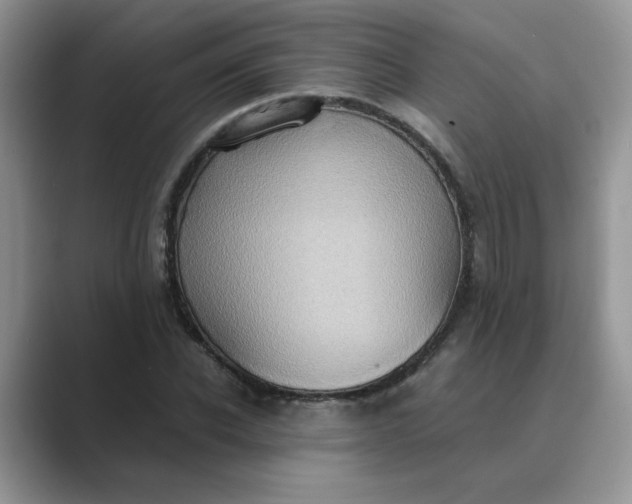 X0000089670926200707051545