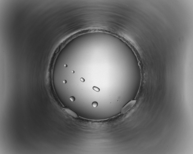 X0000089670928200707051545