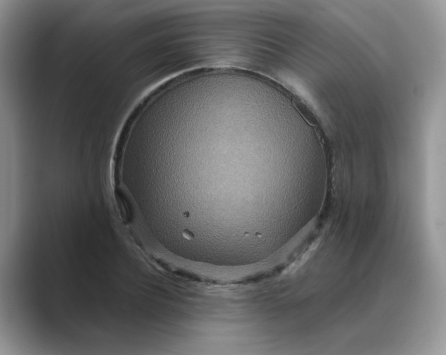 X0000089670932200707051545