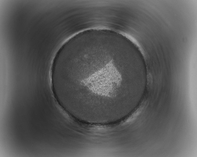 X0000089670935200707051545