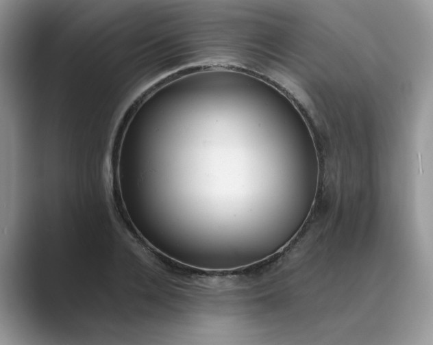X0000089670936200707051545