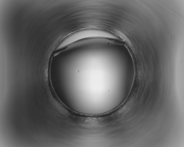 X0000089670938200707051546