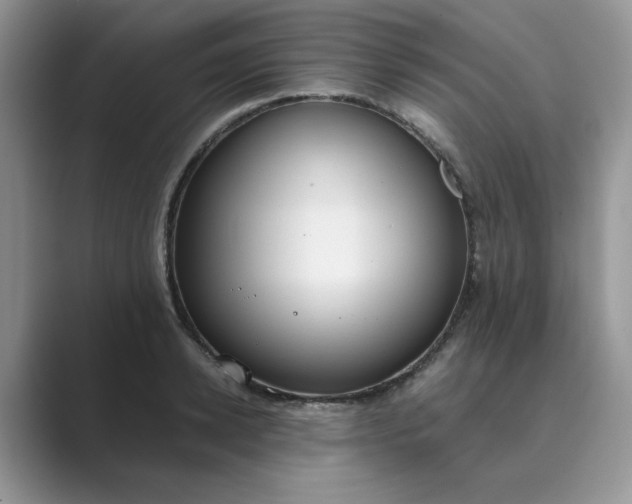 X0000089670942200707051546