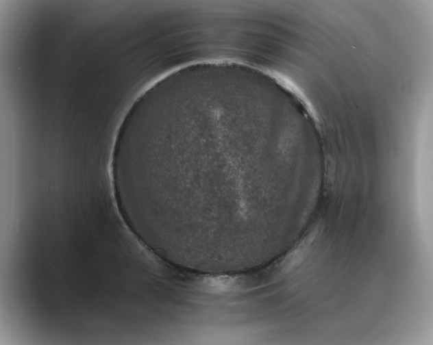X0000089670943200707051546