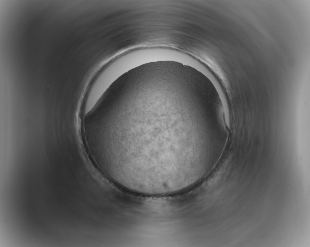 X0000089670944200707051546
