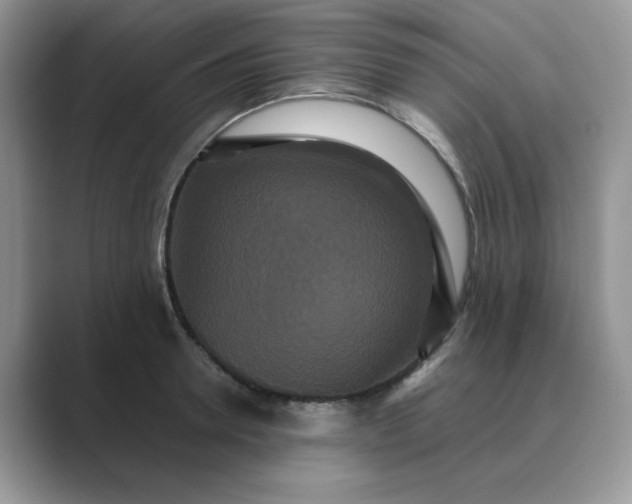 X0000089670946200707051546