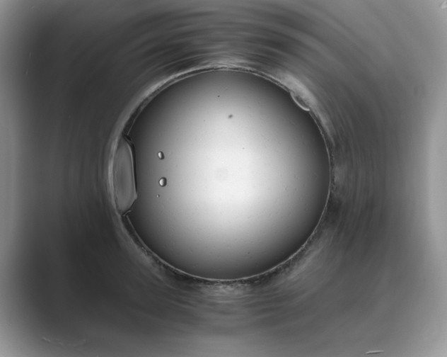 X0000089670947200707051546