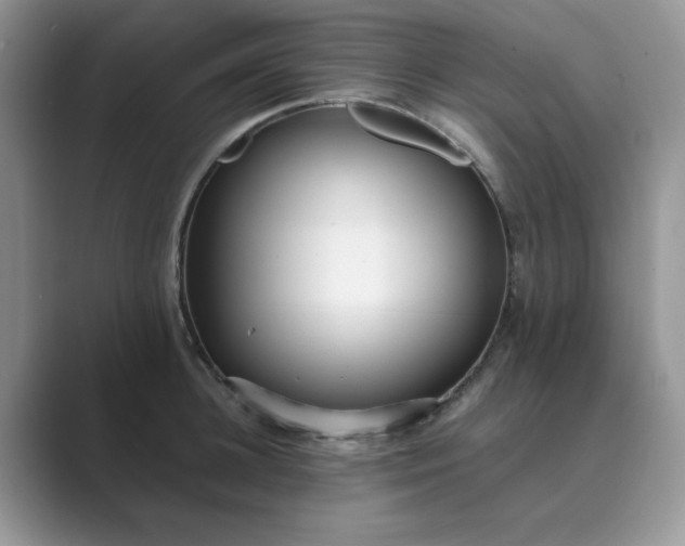 X0000089670948200707051546