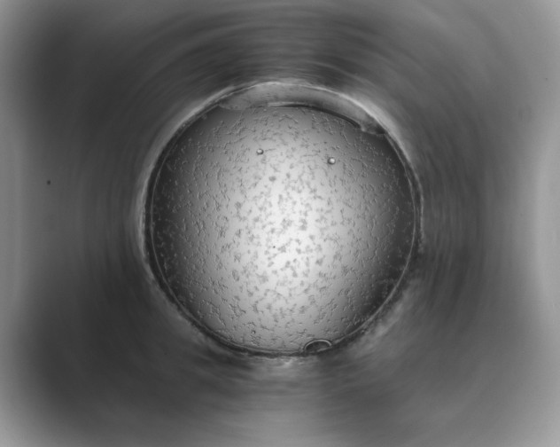 X0000089670949200707051546
