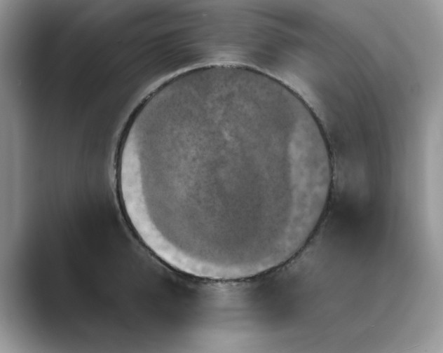 X0000089670950200707051546