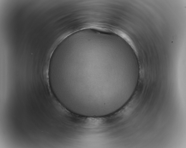 X0000089670954200707051546