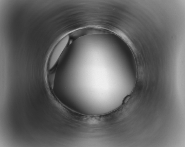 X0000089670955200707051546