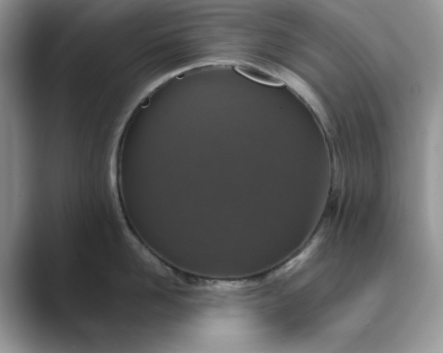 X0000089670958200707051546