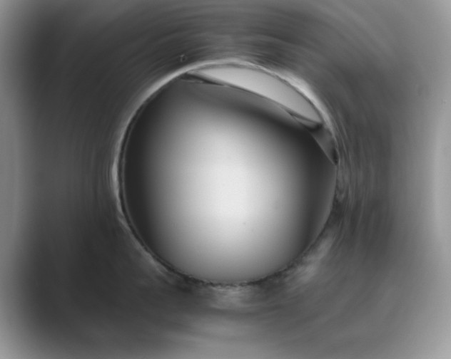 X0000089670959200707051546