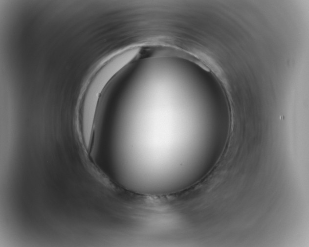 X0000089670960200707051546