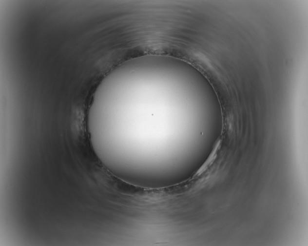 X0000089670964200707051545