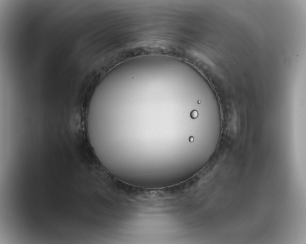 X0000089670966200707051545