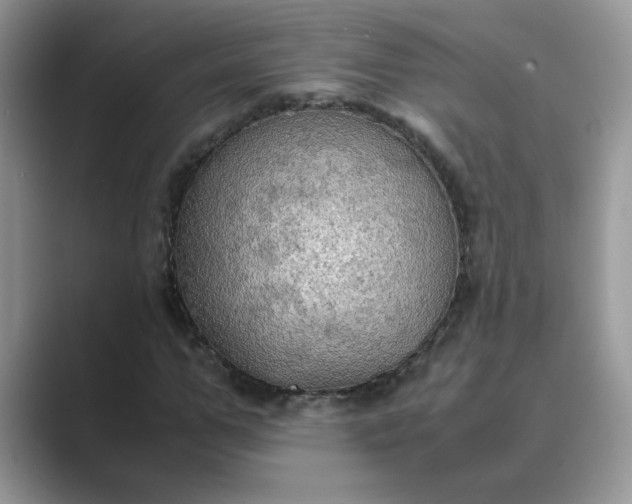 X0000089670967200707051545