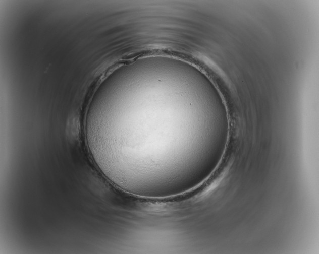 X0000089670969200707051545