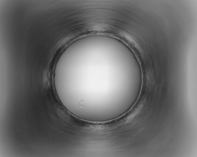 X0000089670970200707051545