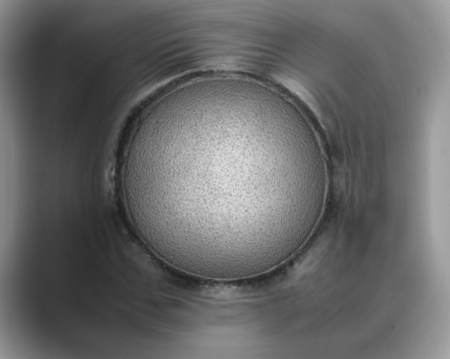 X0000089670971200707051545