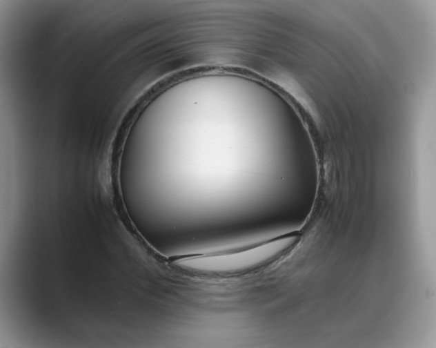 X0000089670972200707051545