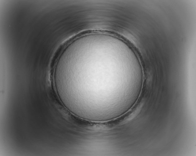 X0000089670974200707051545