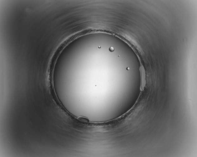 X0000089670976200707051545