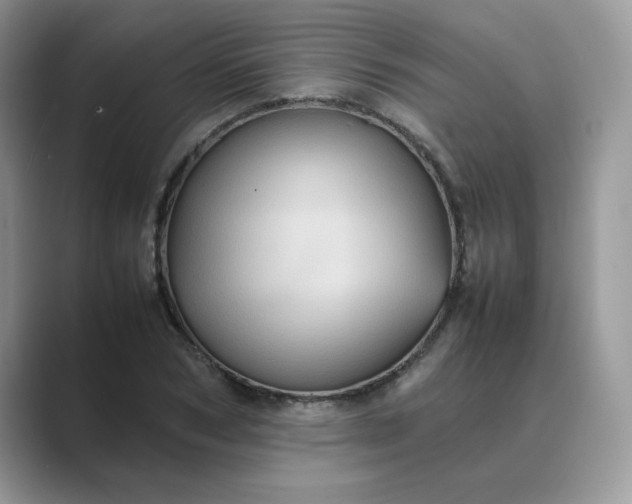 X0000089670978200707051545