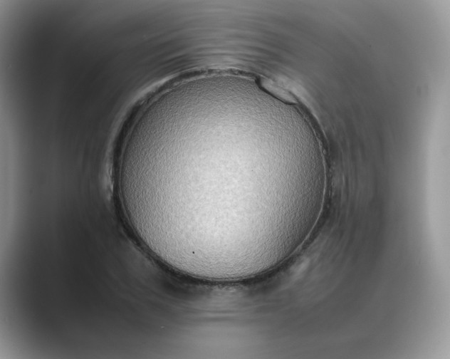 X0000089670979200707051545