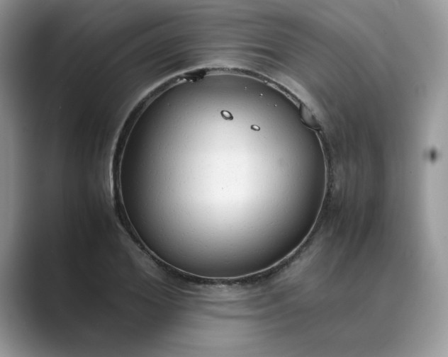 X0000089670980200707051545