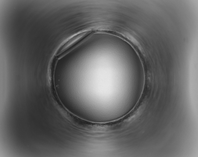 X0000089670981200707051545