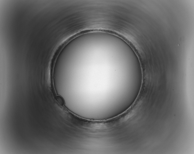 X0000089670982200707051545