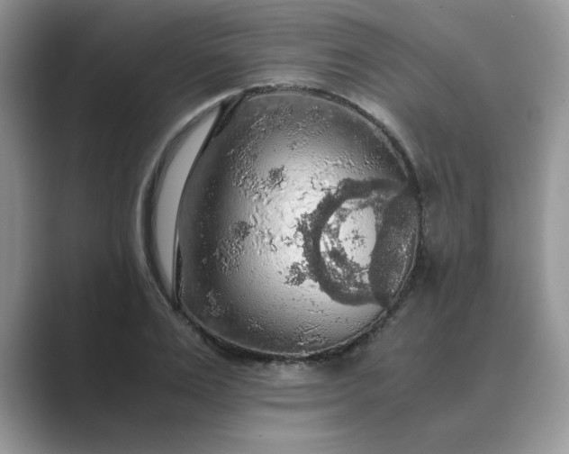 X0000089670983200707051545