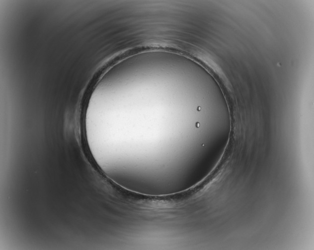 X0000089670984200707051545