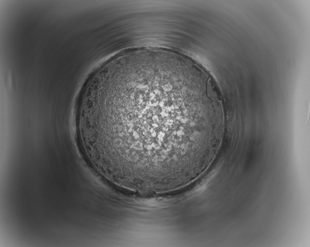 X0000089670987200707051545