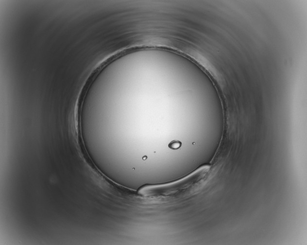 X0000089670988200707051545
