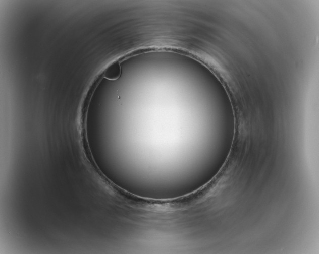 X0000089670990200707051545