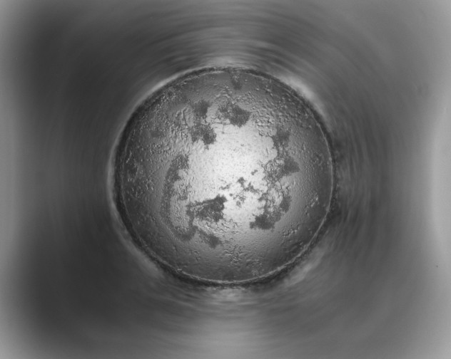 X0000089670991200707051545