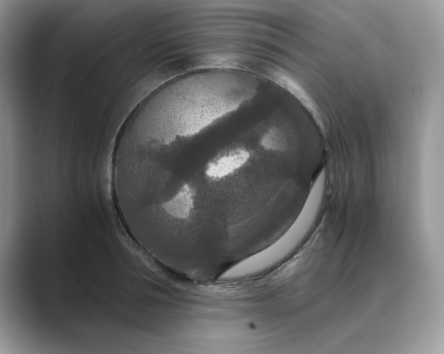 X0000089670994200707051545