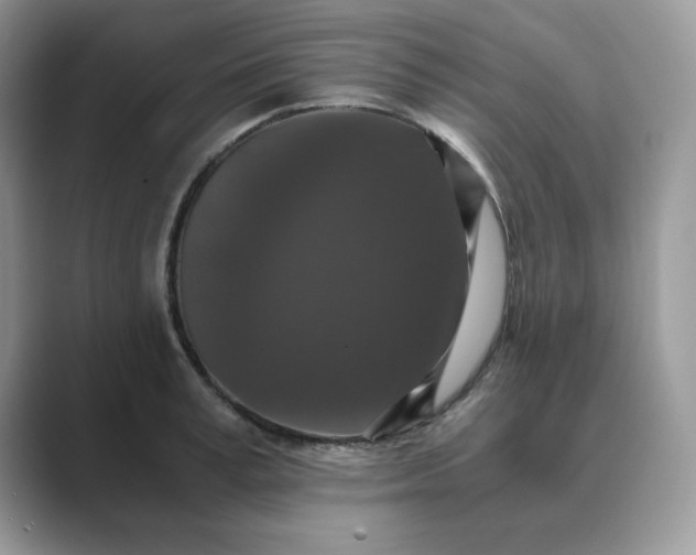X0000089670995200707051545