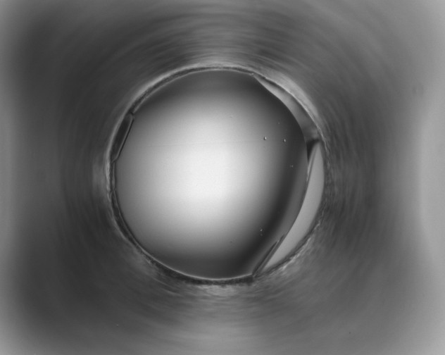X0000089670996200707051545