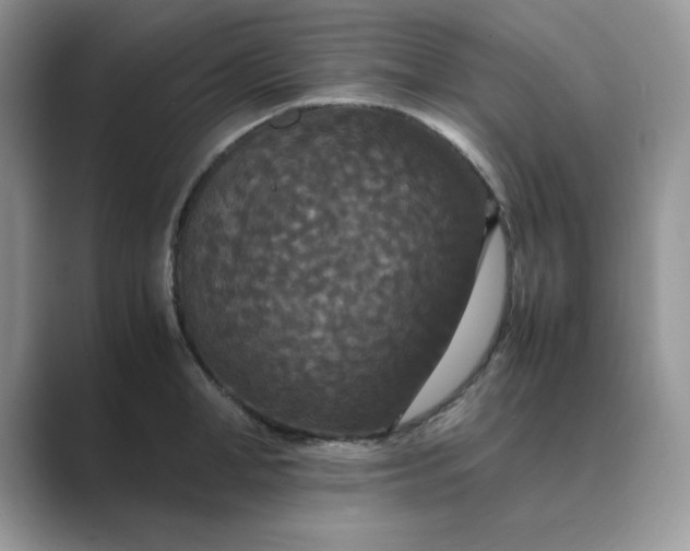 X0000089670998200707051545