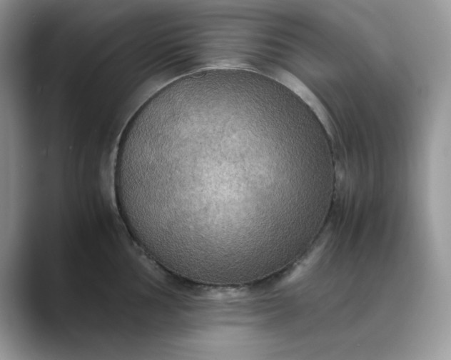 X0000089671002200707051545