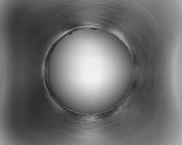X0000089671003200707051545