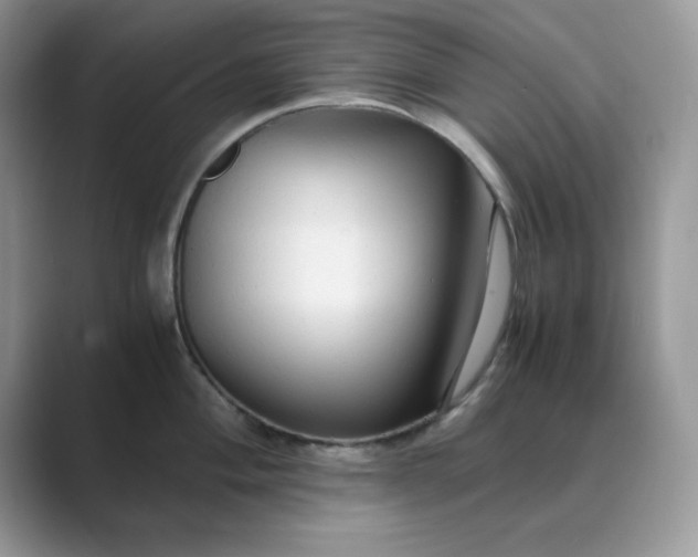 X0000089671004200707051545