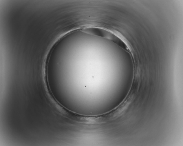X0000089671005200707051545